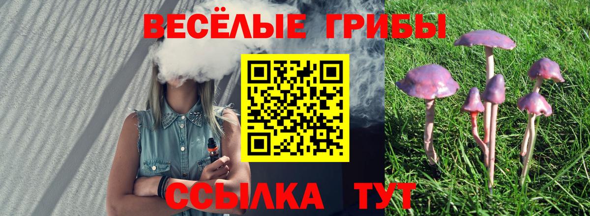 Галлюциногенные грибы Magic Shrooms Орск